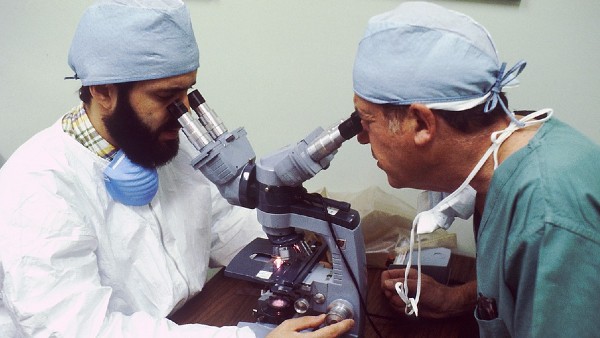 ব্যাকটেরিয়াটি প্রোক্যারিওট নামক গোষ্ঠীর অন্তর্গত ব্যাকটেরিয়াটি প্রোক্যারিওট নামক গোষ্ঠীর অন্তর্গত