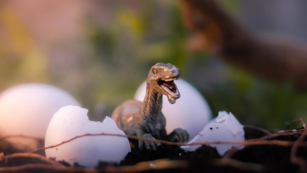 আরও কিছু পাওয়ার আশায় গবেষকরা