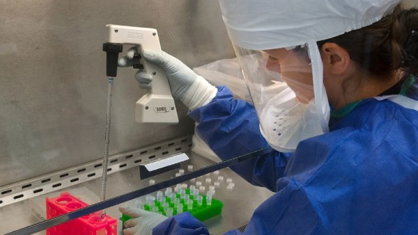 অন্যান্য ব্যাকটেরিয়ার তুলনায় অনেক বড় জিনোম অন্যান্য ব্যাকটেরিয়ার তুলনায় অনেক বড় জিনোম