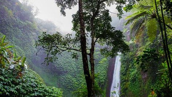 থাকবেন কোথায়