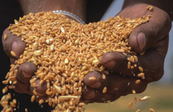 ভারতের নিষেধাজ্ঞা 