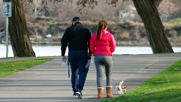 হাঁটা স্বাস্থ্যের জন্য সেরা ব্যায়াম হাঁটা স্বাস্থ্যের জন্য সেরা ব্যায়াম