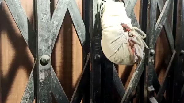 বিষ্মিত প্রতিবেশীরা