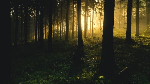 ছুটে যাবেন নাকি স্বর্গীয় আনন্দ উপভোগ 