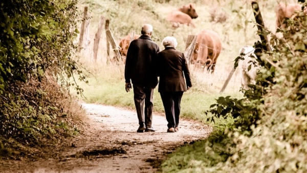 এনার্জি, শক্তি বৃদ্ধিতে সাহায্য করে হাঁটাচলা এনার্জি, শক্তি বৃদ্ধিতে সাহায্য করে হাঁটাচলা