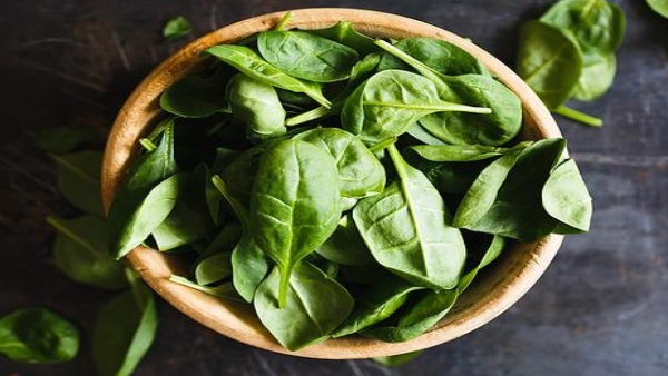 তুলসী পাতা