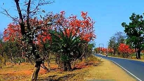 থাকে বানজারা সম্প্রদায়ের মতো, রেইকি করেছিল থাকে বানজারা সম্প্রদায়ের মতো, রেইকি করেছিল