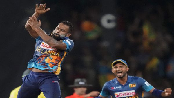 চামিকার কেরিয়ার