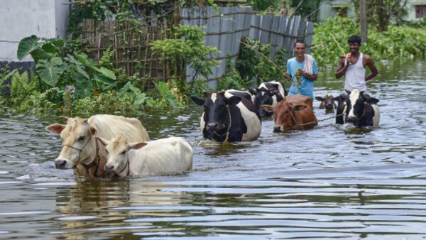 পরিত্রাণের উপায় পরিত্রাণের উপায়