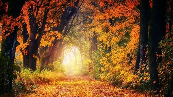 ভারতের বুকে কিছু ঊজ্জ্বল সৈকতেও তার উপস্থিত 