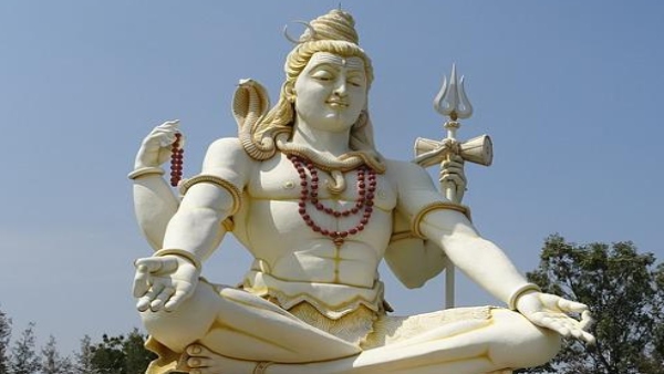 নাগ–নাগিনের জোড়া