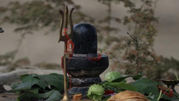 আমিষ খাবার খাবেন না আমিষ খাবার খাবেন না