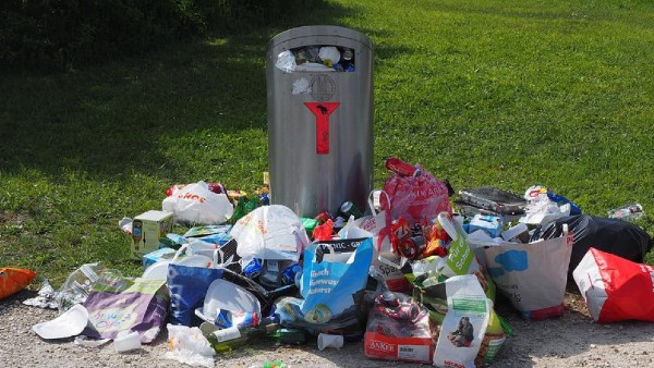 পাকিস্তান 