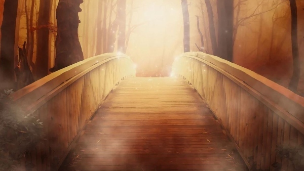 জঙ্গলের আকর্ষণ মোহময়ী আলোর পরিবেশ