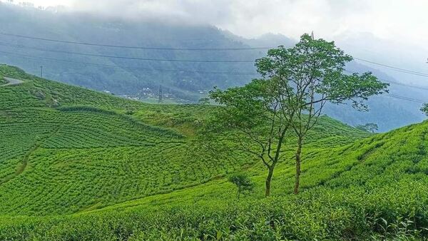 উত্তরবঙ্গের আবহাওয়া