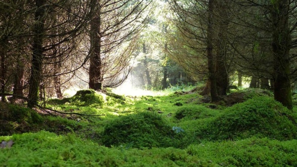 পুলুং নেচার রিজার্ভ, ভিয়েতনাম পুলুং নেচার রিজার্ভ, ভিয়েতনাম