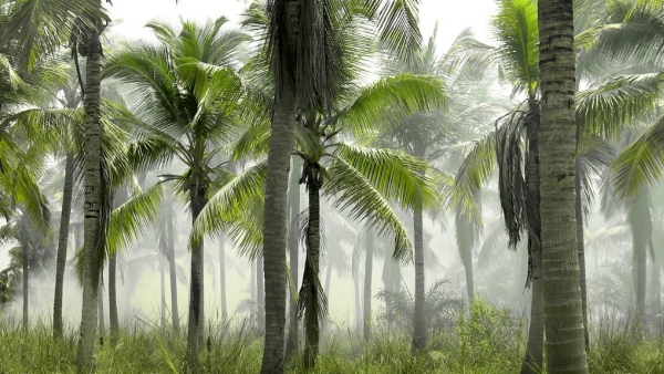 ঘুণাক্ষরেও কল্পনা করা যায়নি ওই মতলব