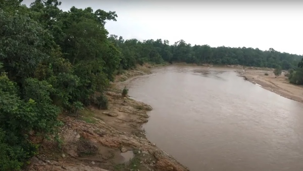 জঙ্গল সাফারির মজা উপভোগ করা যায় জঙ্গল সাফারির মজা উপভোগ করা যায়