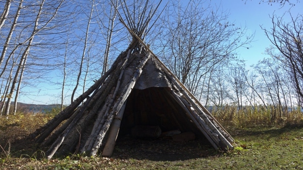 মহিলার মৃত্যু মহিলার মৃত্যু