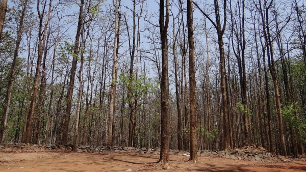 মনোরম পরিবেশ