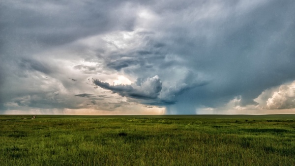 সরকারি ওয়েবসাইটে বলা হয়েছে নয়া প্রযুক্তি ব্যবহারের কথা