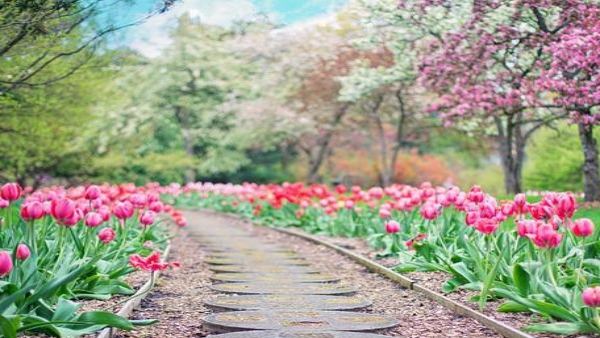 স্বপ্নে ফুলের বাগান দেখা