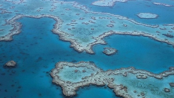 গ্রেট ব্যারিয়ার রিফ, অস্ট্রেলিয়া গ্রেট ব্যারিয়ার রিফ, অস্ট্রেলিয়া
