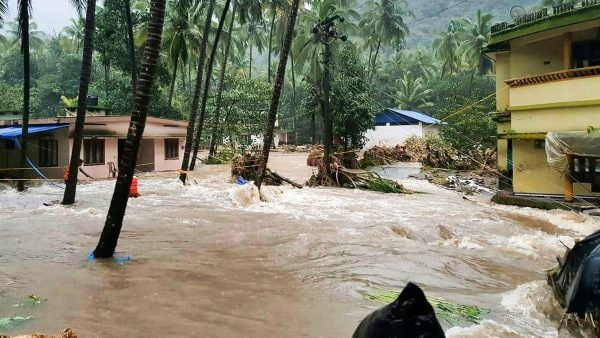 ধস নেমেছে একাধিক এলায়