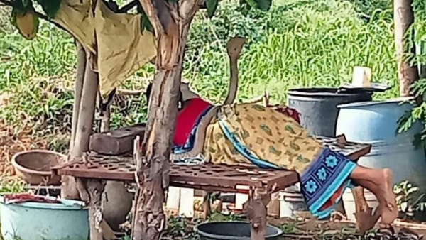 সোশ্যাল মিডিয়ায় ভাইরাল 