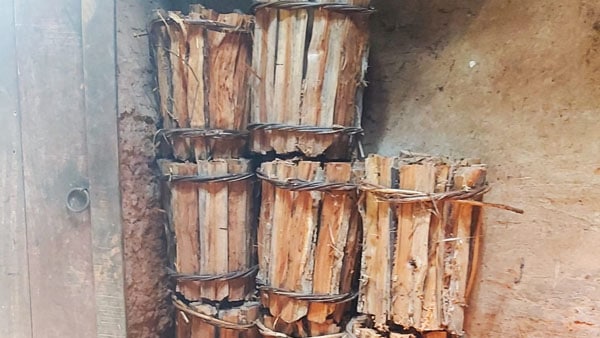 কী বলছেন সংগঠনের প্রধান ?