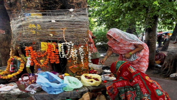 অশ্বত্থ গাছের পুজো