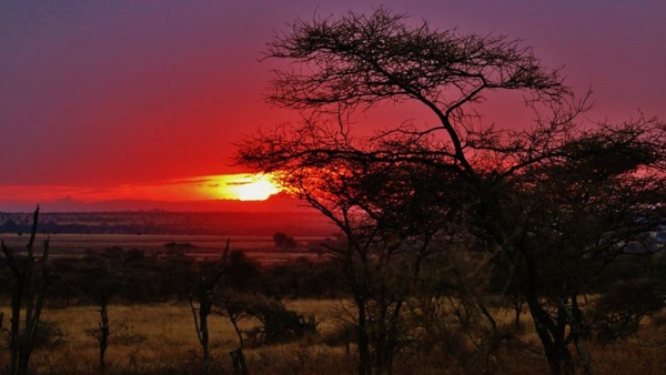 সেরেঙ্গেটি জাতীয় উদ্যান, তানজানিয়া সেরেঙ্গেটি জাতীয় উদ্যান, তানজানিয়া