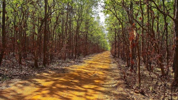 আর কী কথিত আছে আর কী কথিত আছে