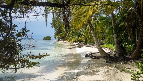 নতুন দ্বীপ জেগে উঠল প্রশান্ত মহাসাগরে নতুন দ্বীপ জেগে উঠল প্রশান্ত মহাসাগরে