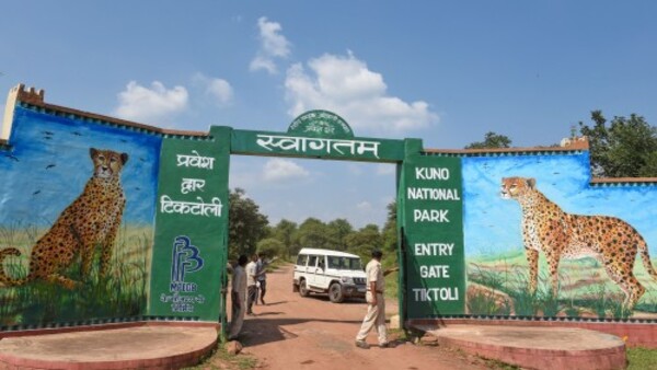 ৫ টি মহিলা ও ৩ টি পুরুষ চিতা