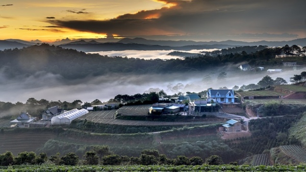 দ্য লাট দ্য লাট