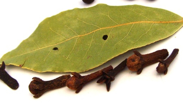 বাড়িতে সর্বদা কলহ হলে বাড়িতে সর্বদা কলহ হলে