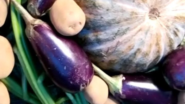 কী বলছেন এলাকার মহিলারা?