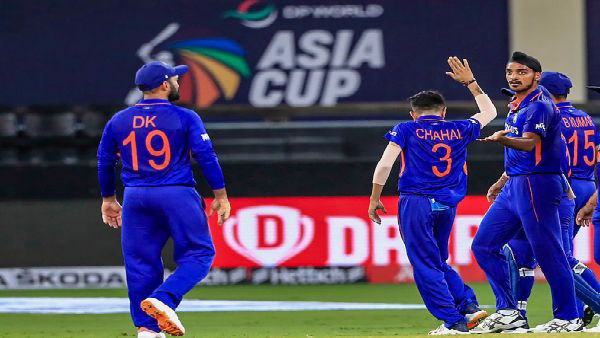 লম্বা রেসের ঘোড়া