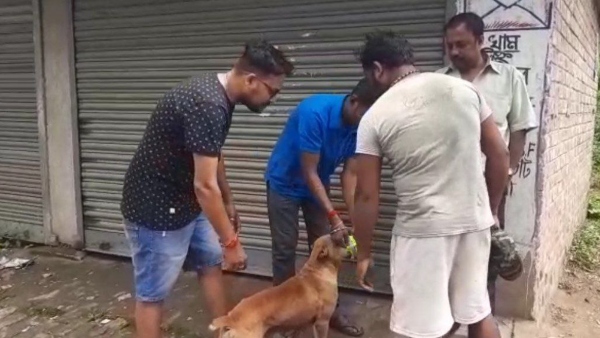 অ্যান্টি রাবিশ ভ্যাকসিন