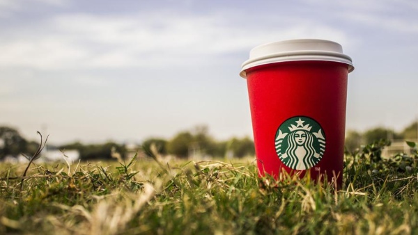 নরসিহমানের কর্মজীবন