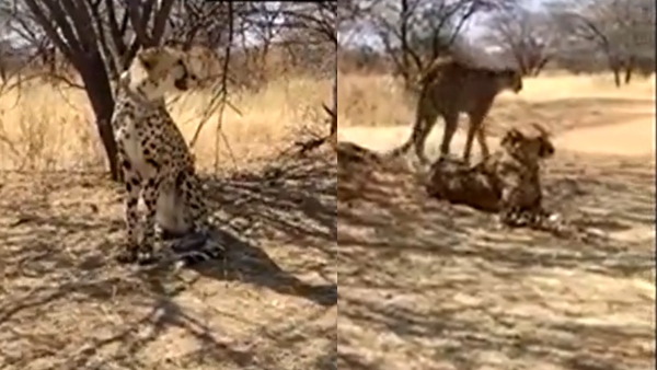 'আশা'কে ঘিরে তৈরি হচ্ছে আশা- 'আশা'কে ঘিরে তৈরি হচ্ছে আশা-