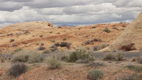 চিহুয়াহুয়ান মরুভূমি মেস্কিকো