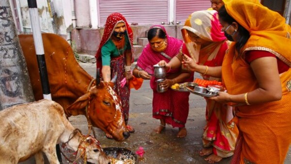  হিন্দু ঐতিহ্যে গরু