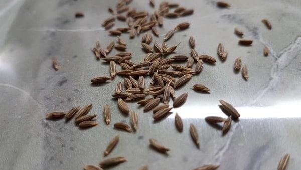 নেতিবাচক শক্তি দূর করার জন্য