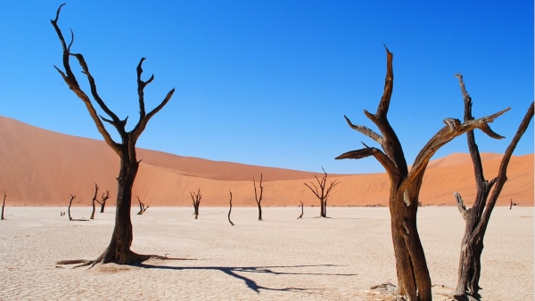 নামিব মরুভূমি, আফ্রিকা