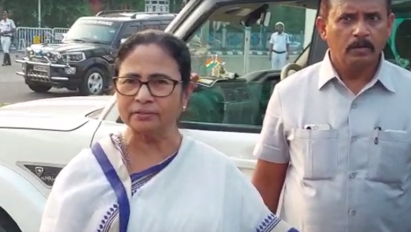  দিদি ওকে সবসময় কাজ করতে বলেন