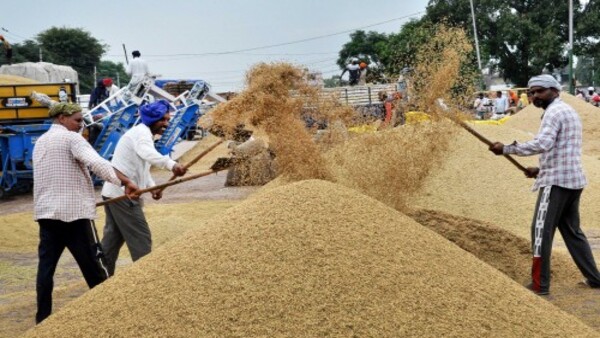 ভারত থেকে চাল রপ্তানি নিষিদ্ধ