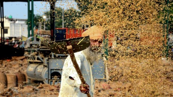 মজুত নামতে পারে ৫ বছরের সব থেকে কম