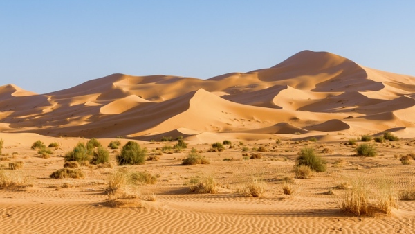 সাহারা মরুভূমি, আফ্রিকা